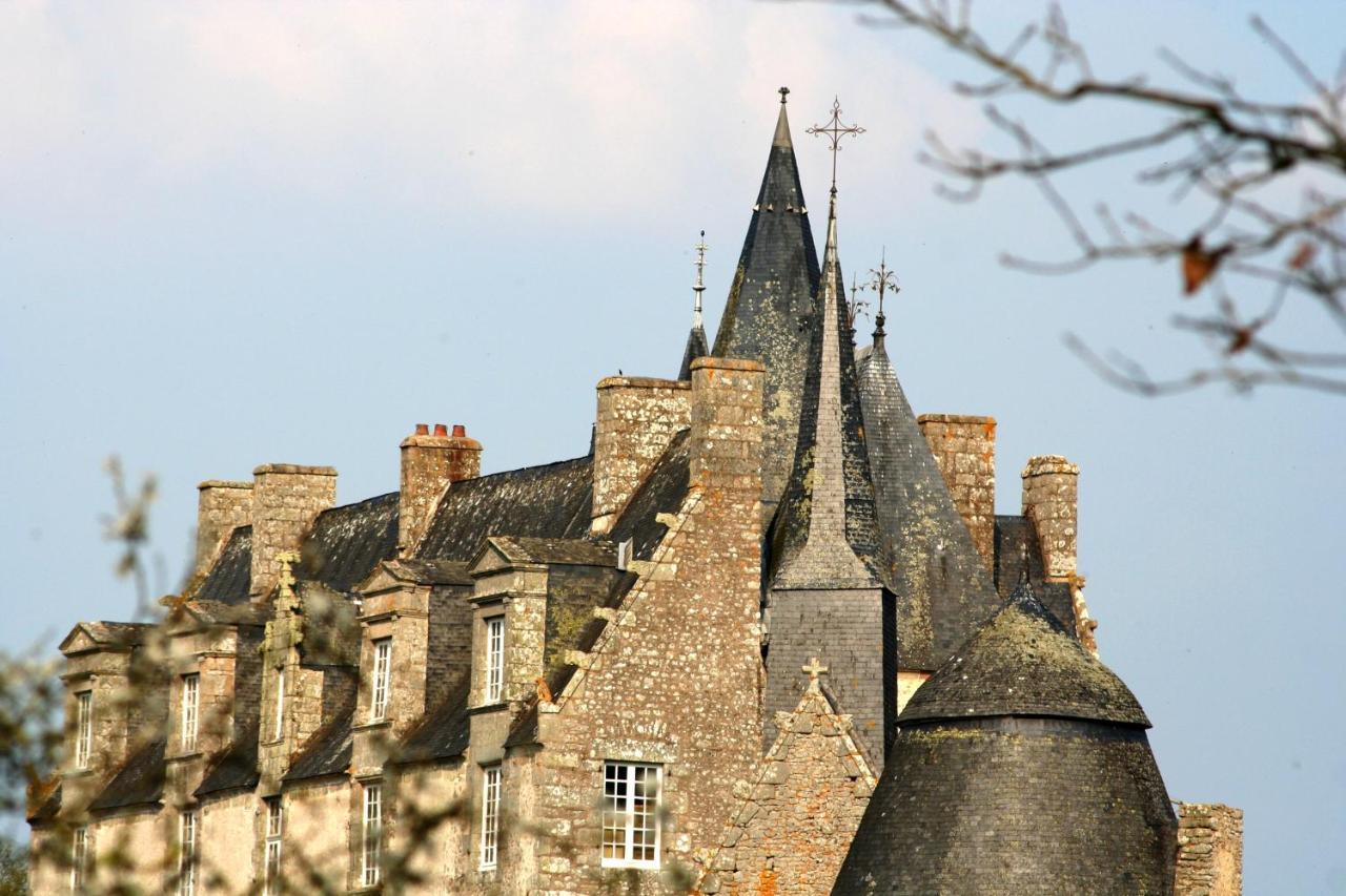 Chateau De Bourgon Montourtier Екстер'єр фото